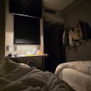 호텔코지(HOTEL COZY) | [후쿠오카 모녀여행 #1] 앤 호텔 하카타(EN Hotel Hakata) 코지 트윈 후기