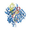 크리스퍼 유전자 가위 (CRISPR-Cas9 ) 이미지