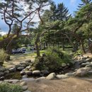 새솔밭 | 충북 제천 의림지 솔밭공원 후기