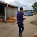 새천년농원 이미지