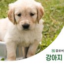 송도 클로버동물병원 이미지