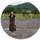 훼밀리승마클럽 이미지