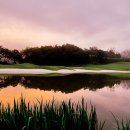 알프스당구장 이미지