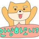이스텔라헤어포맨