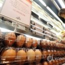 대한계란유통 이미지