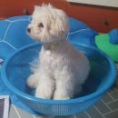 소쿠리광고 이미지