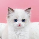 중봉대로612번길 이미지