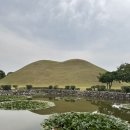 황금찹쌀꽈배기경주점