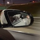 유한회사  제주사랑여행사 | 이건 첫번째 레슨(제주, 롯데월드, 생파)