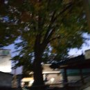 평촌(벌말)경로당 이미지