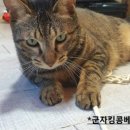두리전자담배 이미지