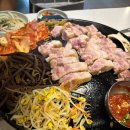 샘골로 티스토리