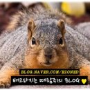 찬스노래짱