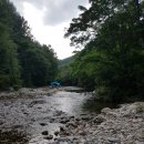 들꽃팬션 앞 이미지