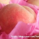 장택농장 이미지