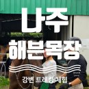 갈대숲소리, 플룻 | [나주] 해븐목장 강변 승마트레킹 | 초보자도 가능한 승마체험 후기