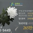 단양장례식장