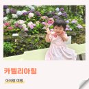 카멜리아 - 창원시 진해구 진해대로979번길 7 | [제주 수국 명소] 아기랑 걷기 좋은 6월의 카멜리아힐 방문 후기