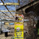 통나무촌 막국수 | 울진맛집 북면 통나무촌 막국수 맛집이지