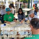 도미노 | 리틀 하바나 도미노파크 후기 미국 마이애미 여행