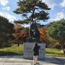 새각단(1) 네이버블로그