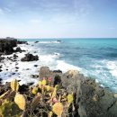 고산엉알 이미지