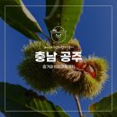 공주 소랭이마을 이미지