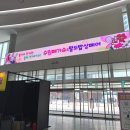 성원밥상 | 수원 메가쇼 2026 시즌 1 팔도밥상페어 후기 입장료 주차 먹거리 시식 솔직 정리