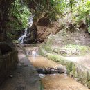 삼청공원 숲속도서관 이미지