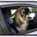 동내초등학교 이미지