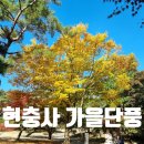 한온장군충신정문 | 아산 현충사 가을 단풍 명소 입장료 주차장