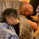 모두의 집사 이미지