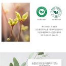 (주)에스티엠 | 광채세럼은 에스팀에상스 바이페이즈 이드라 에끌라뜨