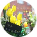 혜정속기학원 | led리얼플라워, 감동을 주고받는 후기