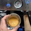 크린홈 | 빈플랜트 홈카페용품 브레빌876 완벽한 추출을 도와주는 정압템퍼, 퍽스크린 강력추천