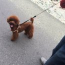 유곡천다목적캠핑장 | 캠핑이야기 첫번째 - 의령 유곡천 다목적 캠핑장