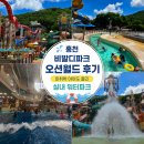 홍천 비발디파크 오션월드 후기｜미취학 아이도 즐긴 실내 워터파크