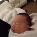 자미당 춘천점 이미지