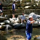 정선 둥지펜션 이미지