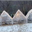 색 | 숲속 예술 공간, 자연을 담은 포천 소흘읍 카페 사유색 방문 후기