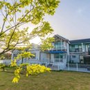 소라잡는댕댕이 이미지