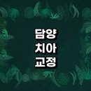담양군 치아교정 잘하는 전문치과 병원 추천 | 비용 후기 설측교정 돌출입 앞니 투명 무턱 부분 교정기...