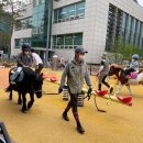 경기도축산진흥센터 이미지