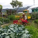 신송농장 이미지