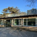 참소오리 이미지