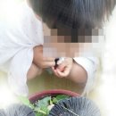 메꽃어린이집 이미지