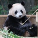 호수노래방 이미지