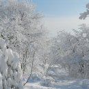 애니메이션고교 이미지