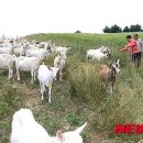 박주성농장 이미지