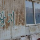 왕지농장 이미지